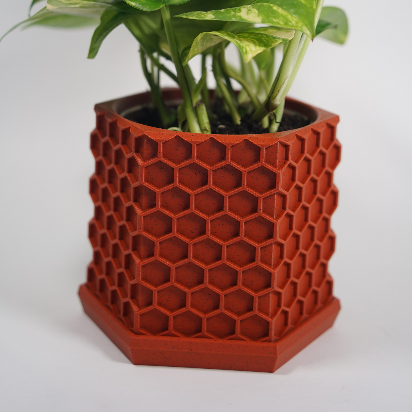 Geometric Planter with Magnetic Drip Tray - Honeycomb