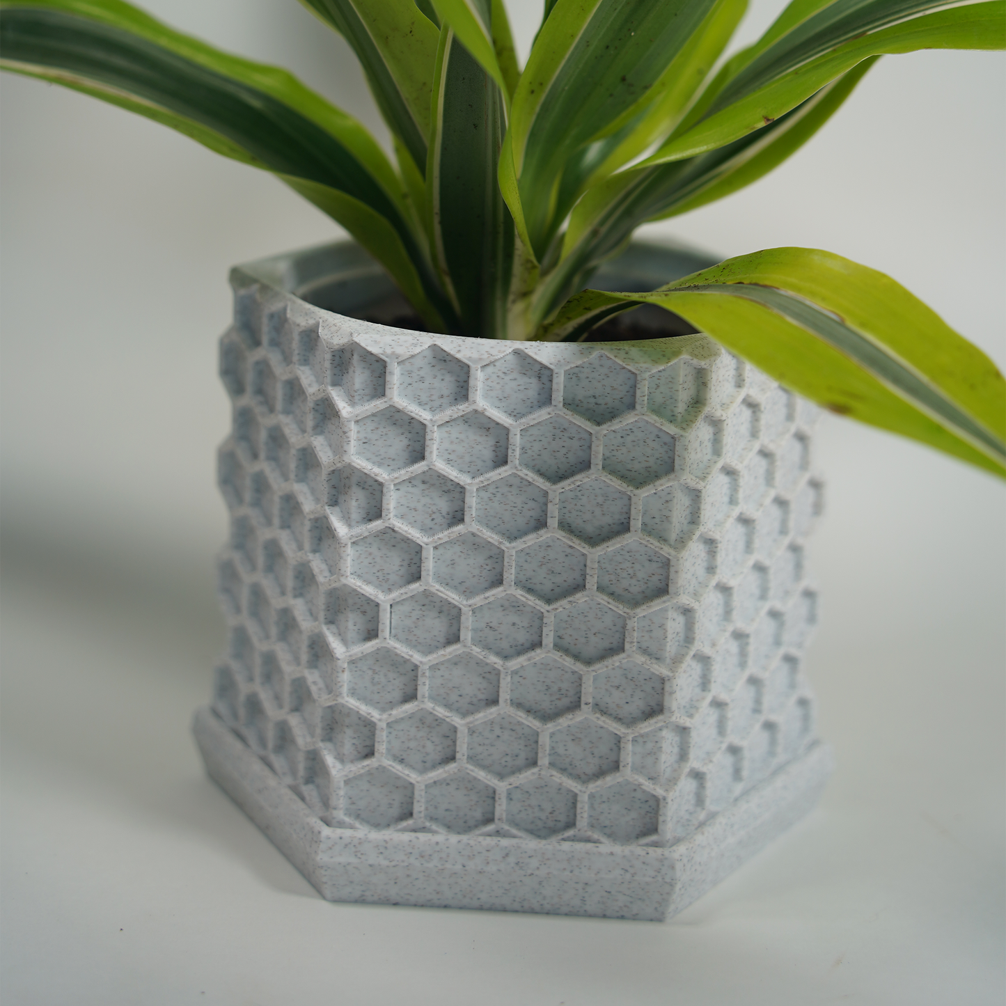 Geometric Planter with Magnetic Drip Tray - Honeycomb