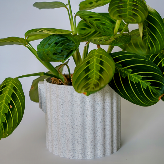 Modern Wall Planter with Removable Drip Tray and Nursery Pot Insert - vertical wave