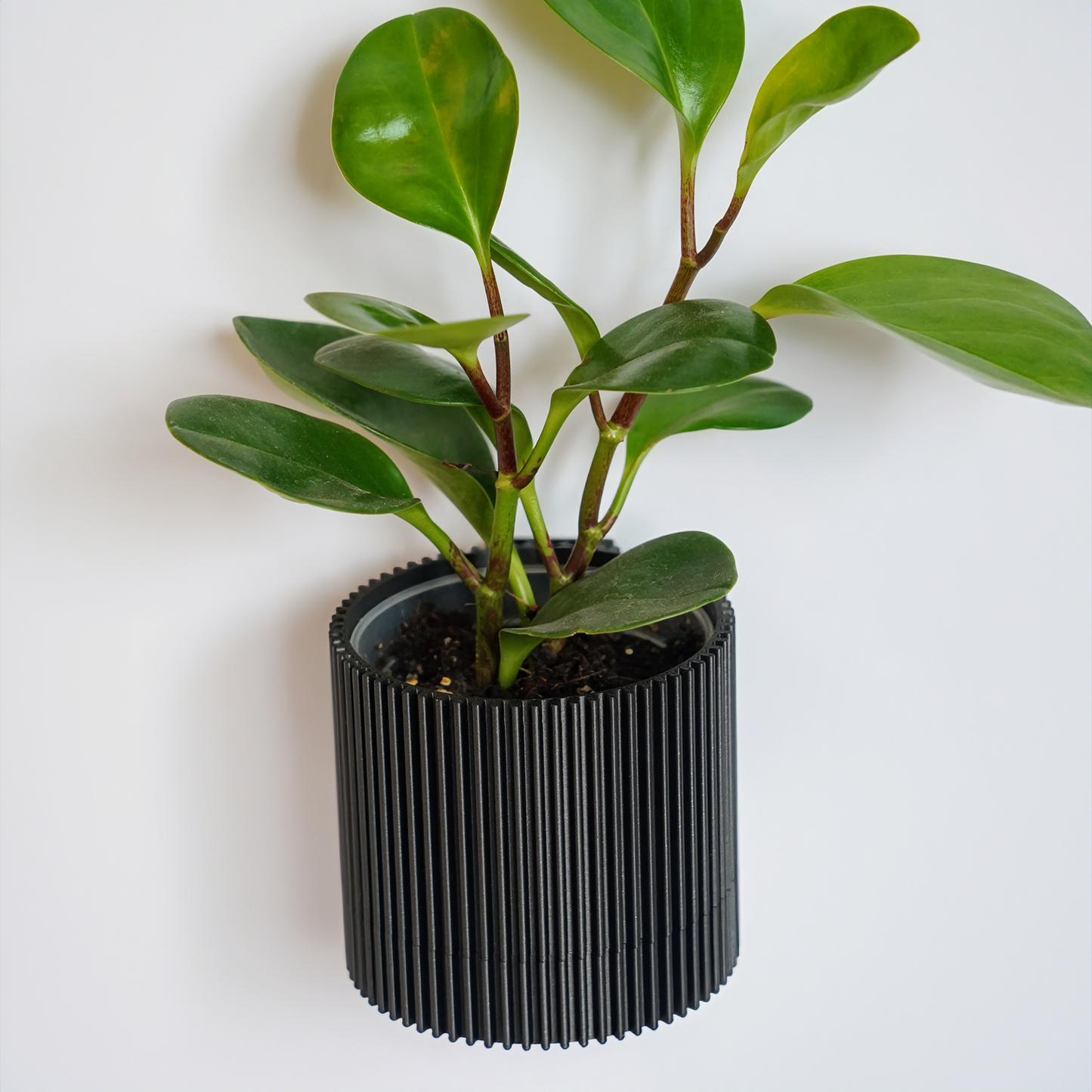 Modern Wall Planter with Removable Drip Tray and Nursery Pot Insert - vertical bars